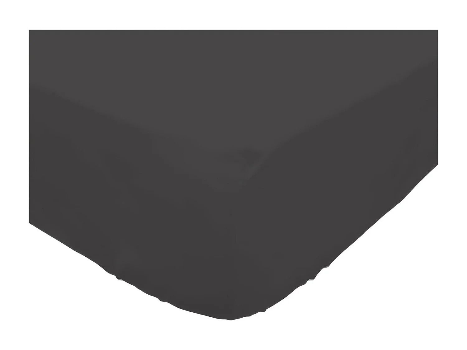 Bajera ajustable de algodón 140x190 cm PERCALE antracita