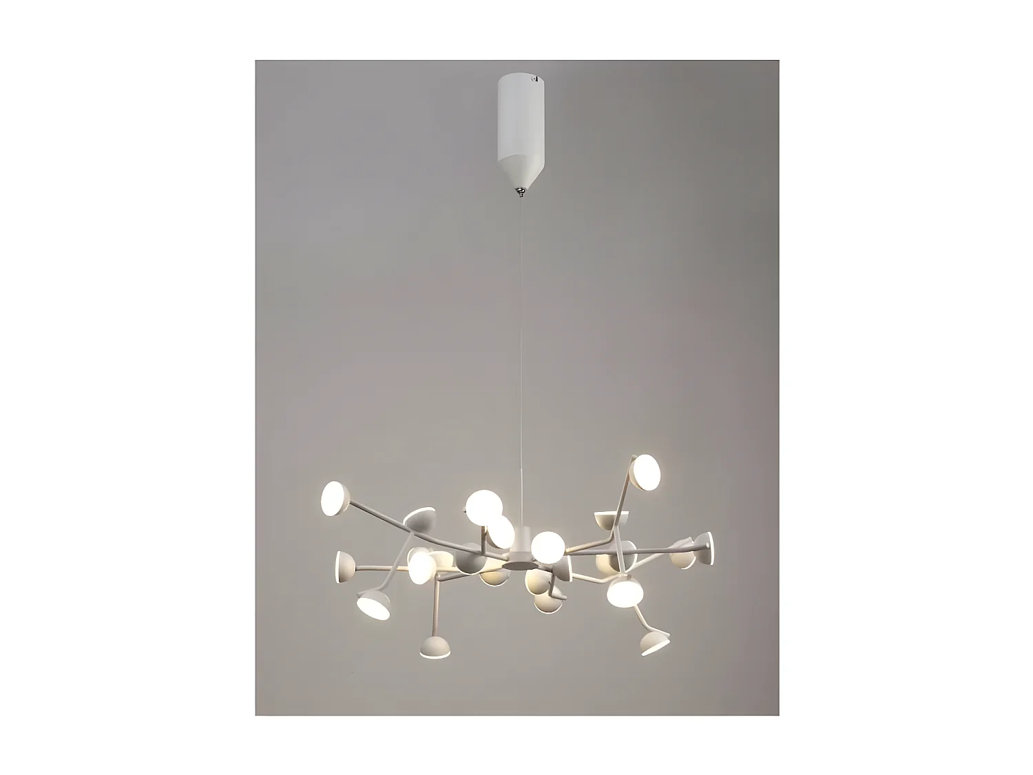 Suspension medium ADN