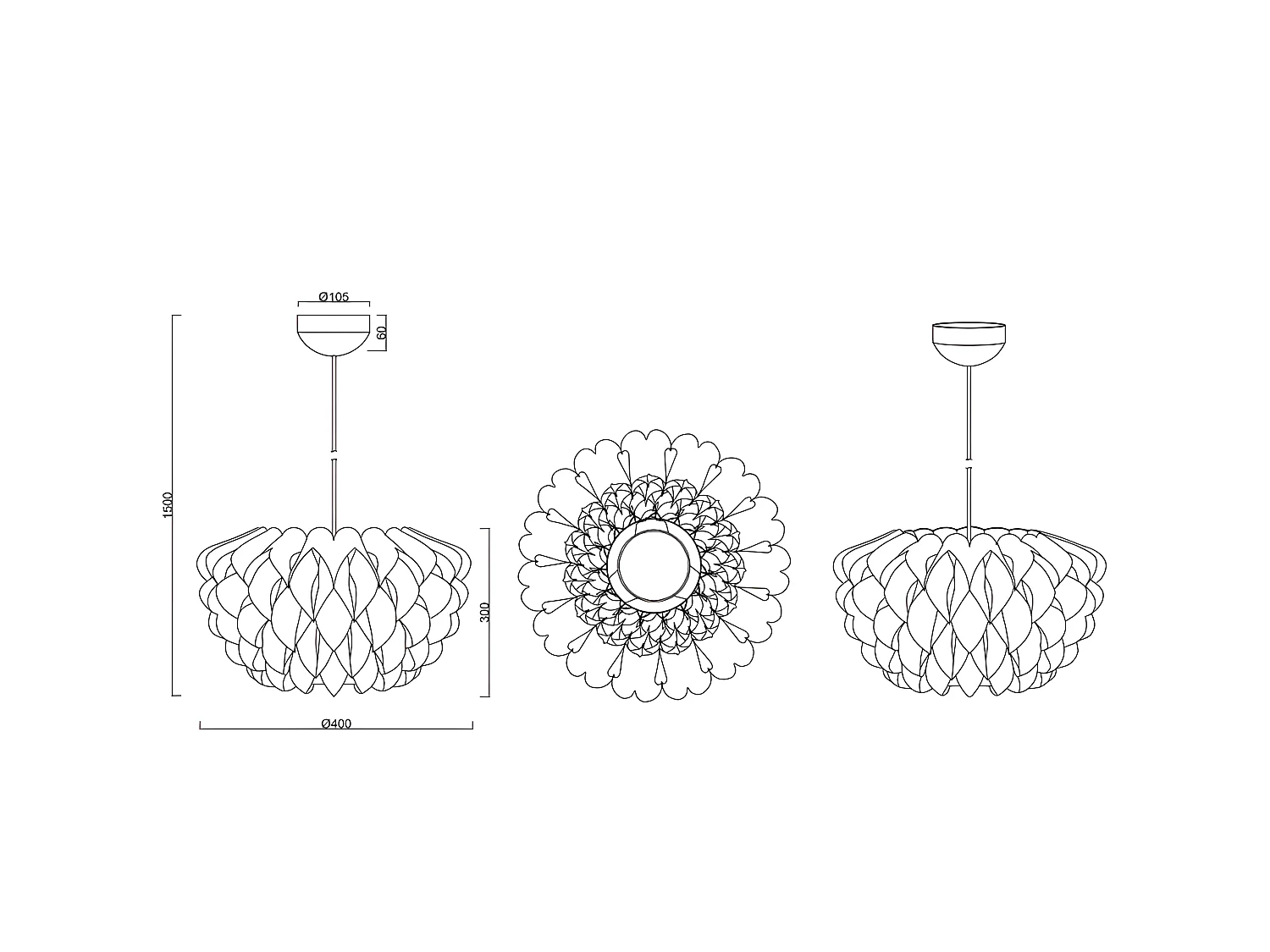 Suspension design Tilia