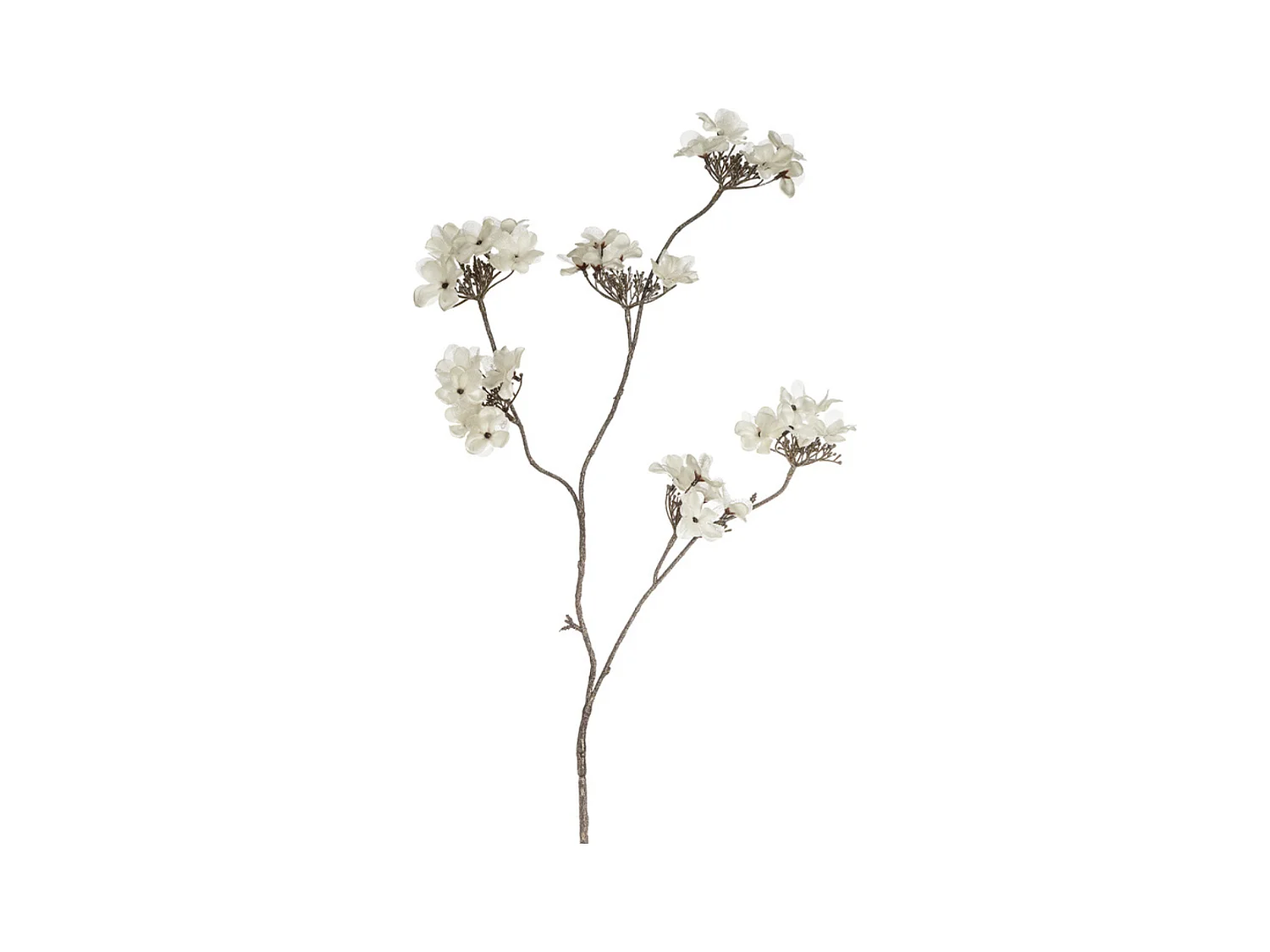 Tige de Fleurs d'Hydrangea - Blanc