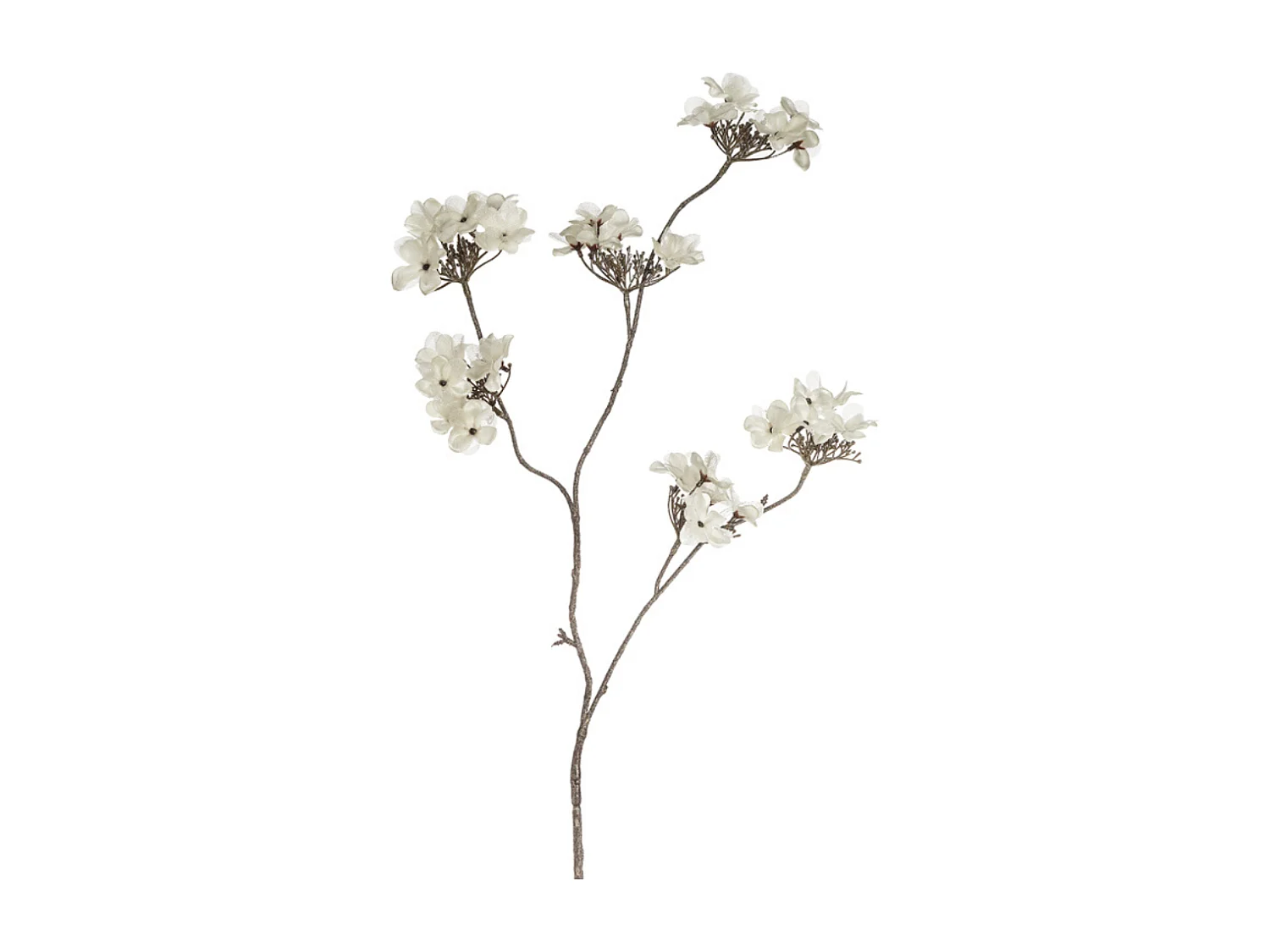 Tige de Fleurs d'Hydrangea - Blanc