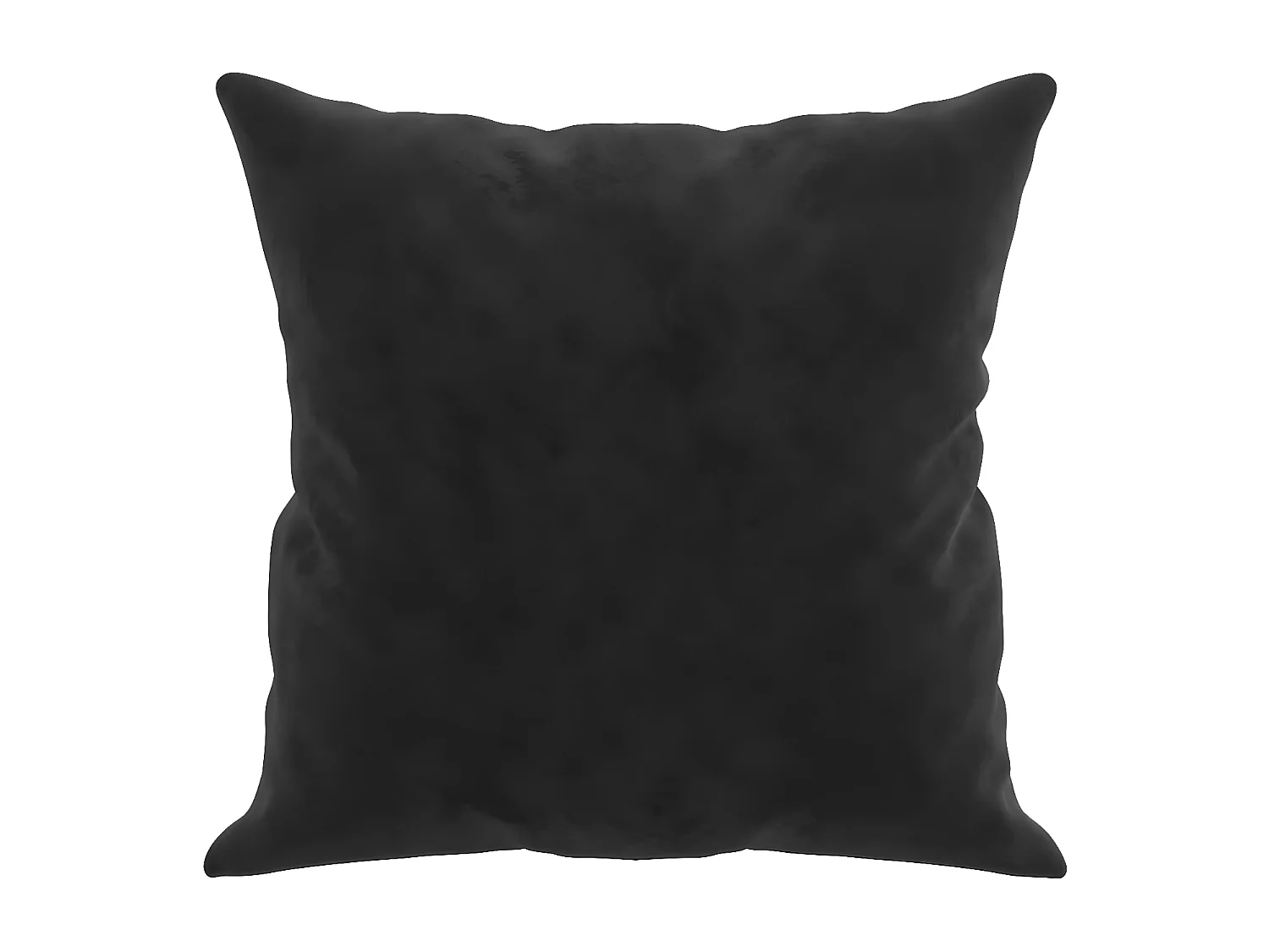 Coussins décoratifs 2 pcs Noir 40x40 Velours