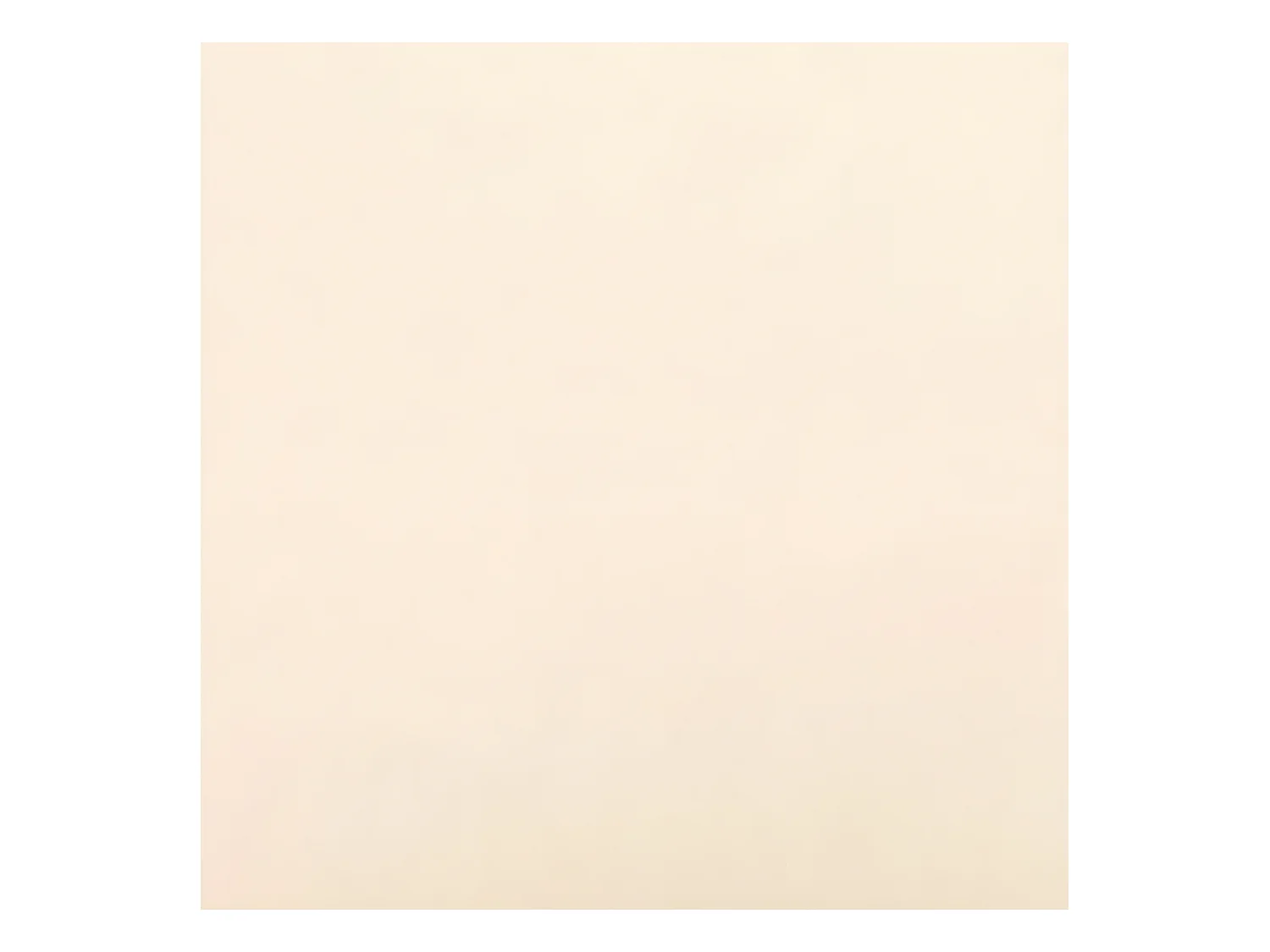 Coussins décoratifs 2 pcs Crème 40x40 Velours