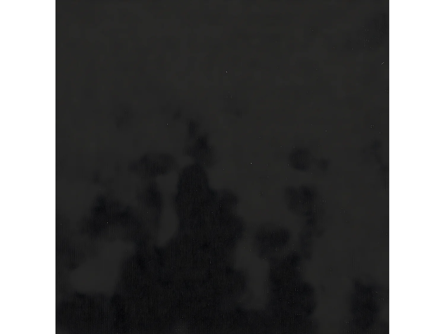 Coussins décoratifs 2 pcs Noir 40x40 Tissu