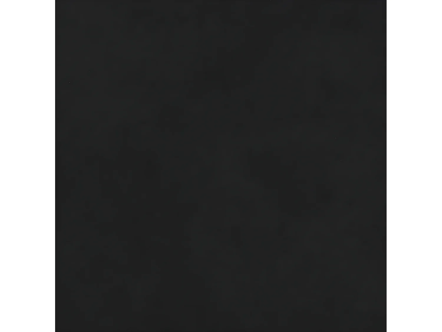 Coussins décoratifs 2 pcs Noir 40x40 Tissu microfibre