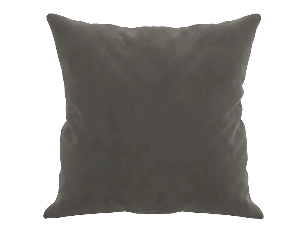 Coussins décoratifs 2 pcs Gris foncé 40x40 Velours