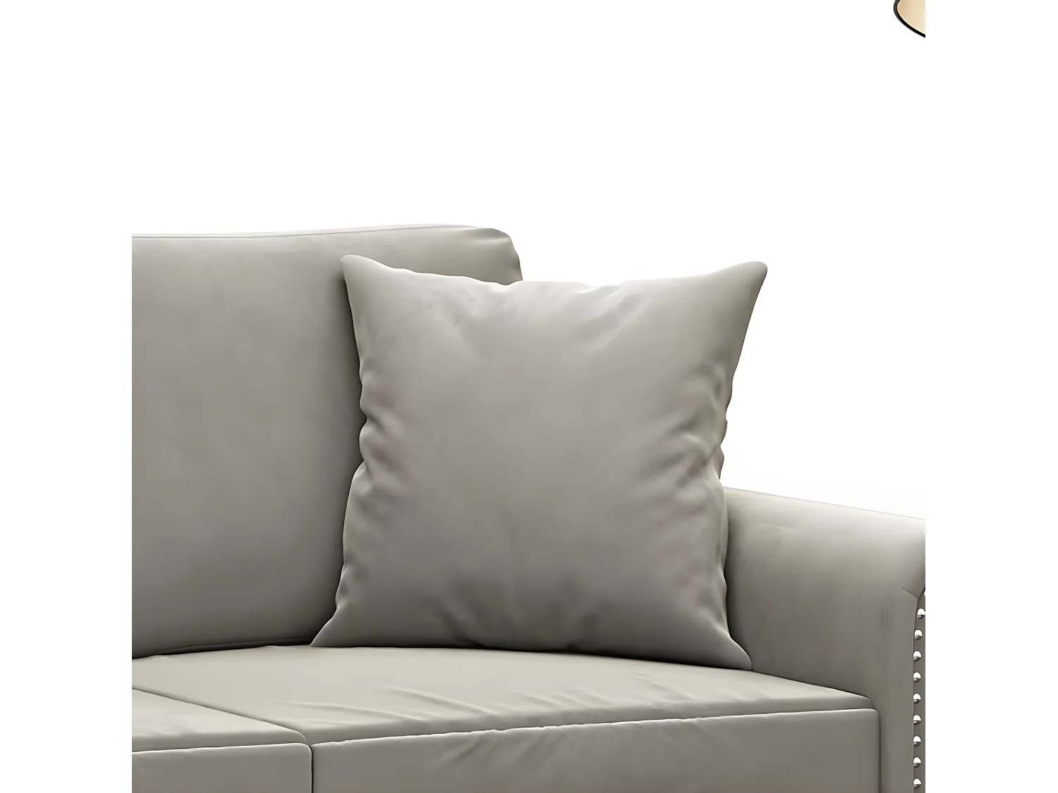 Coussins décoratifs 2 pcs Gris clair 40x40 Velours