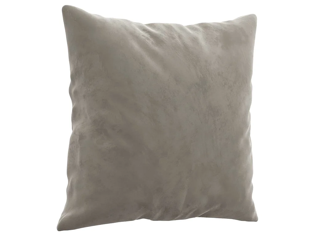 Coussins décoratifs 2 pcs Gris clair 40x40 Velours