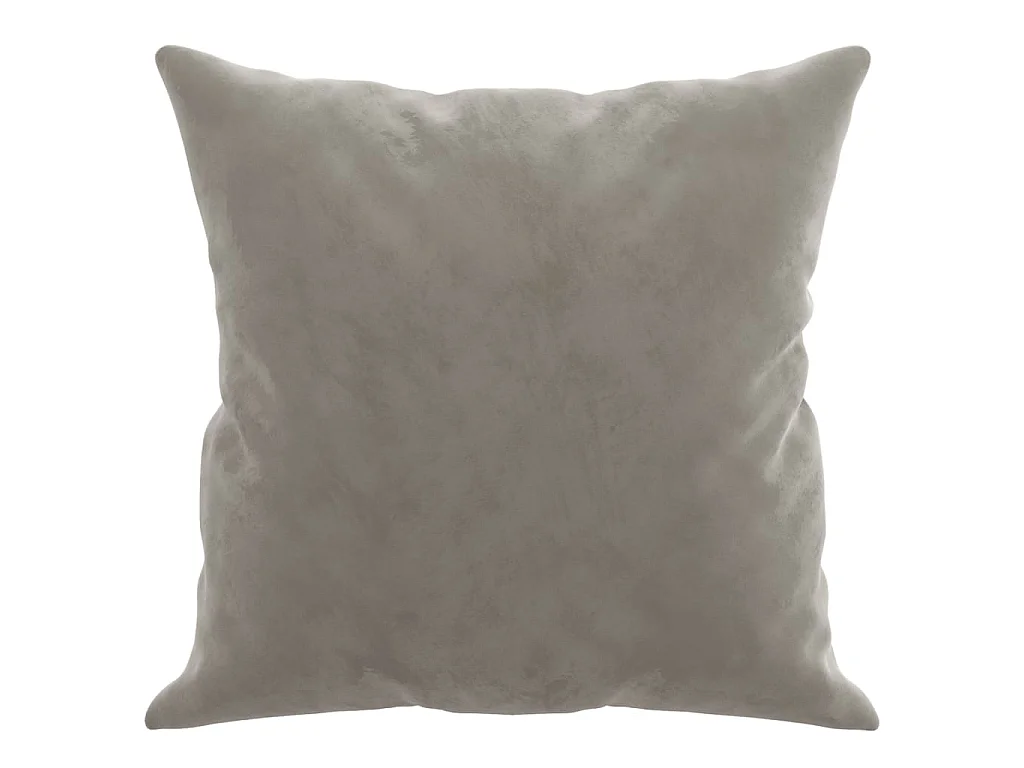 Coussins décoratifs 2 pcs Gris clair 40x40 Velours