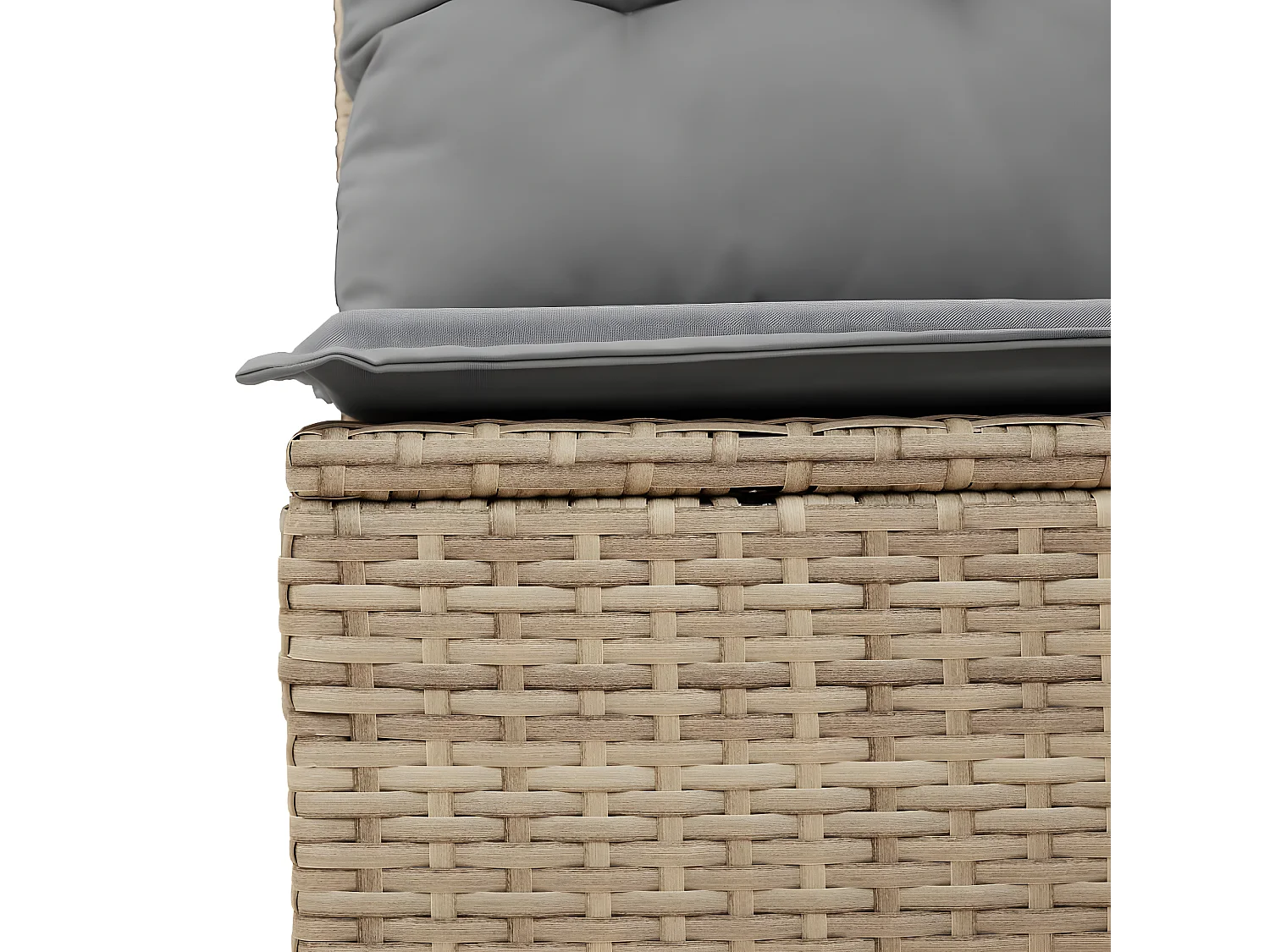 Salon de jardin avec coussins 5 pcs beige résine tressée