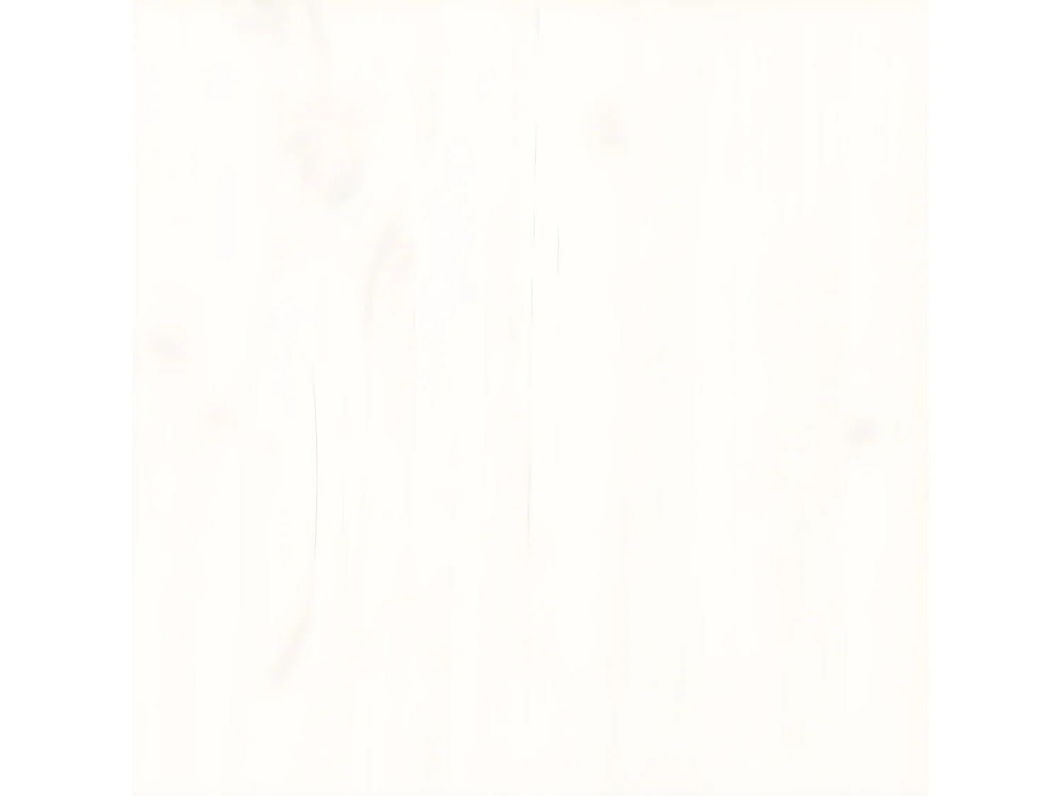 Salon de jardin 8 pcs blanc bois de pin massif