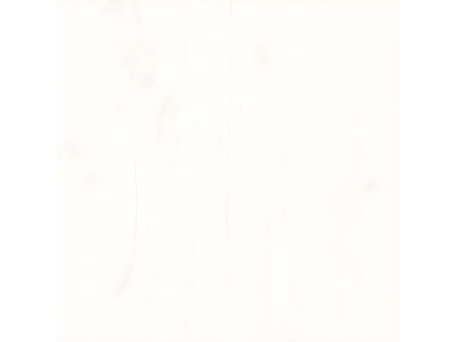 Salon de jardin 6 pcs blanc bois de pin massif