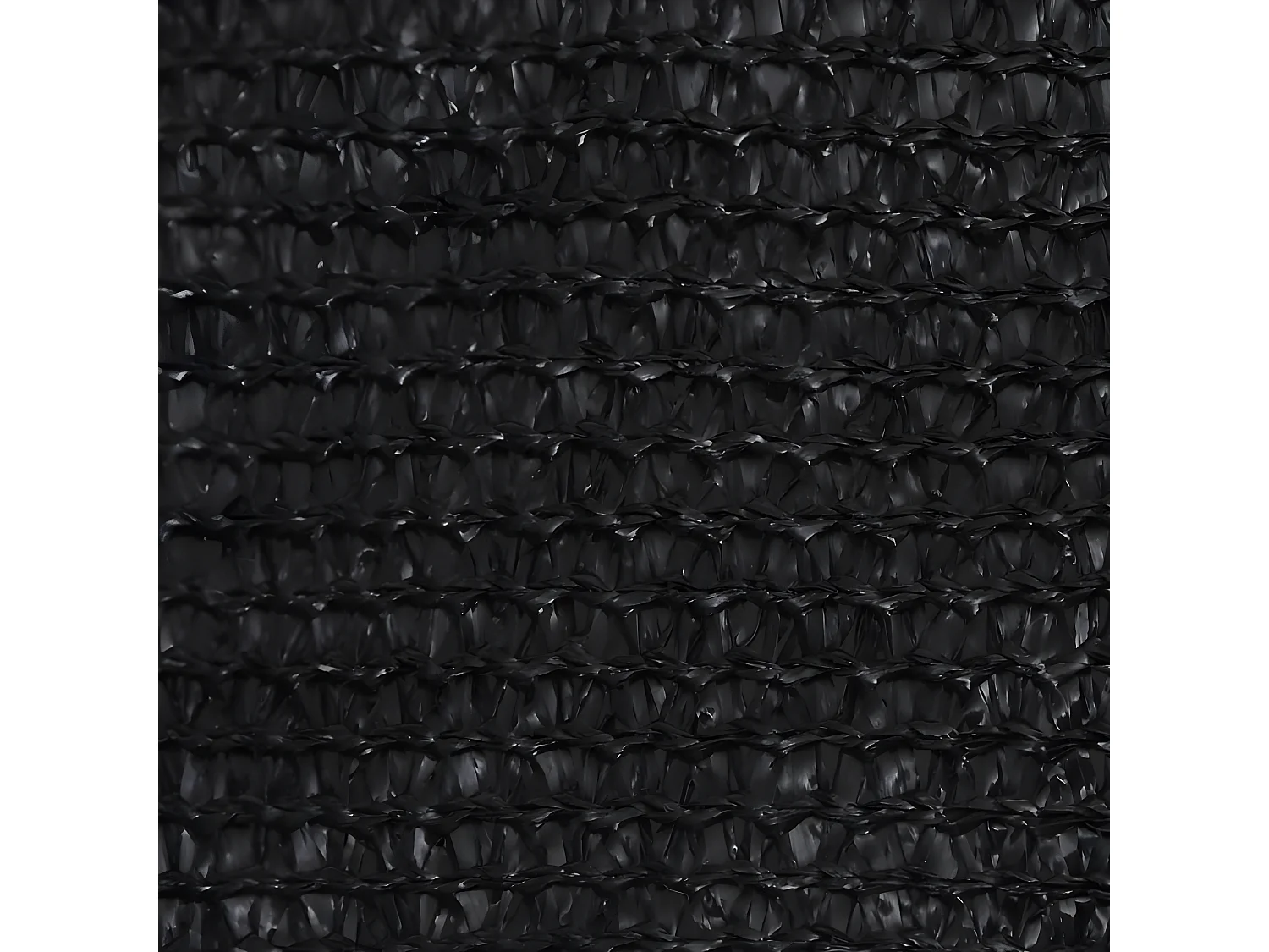 Voile d'ombrage 160 g-m² Noir 2,5x5 m PEHD