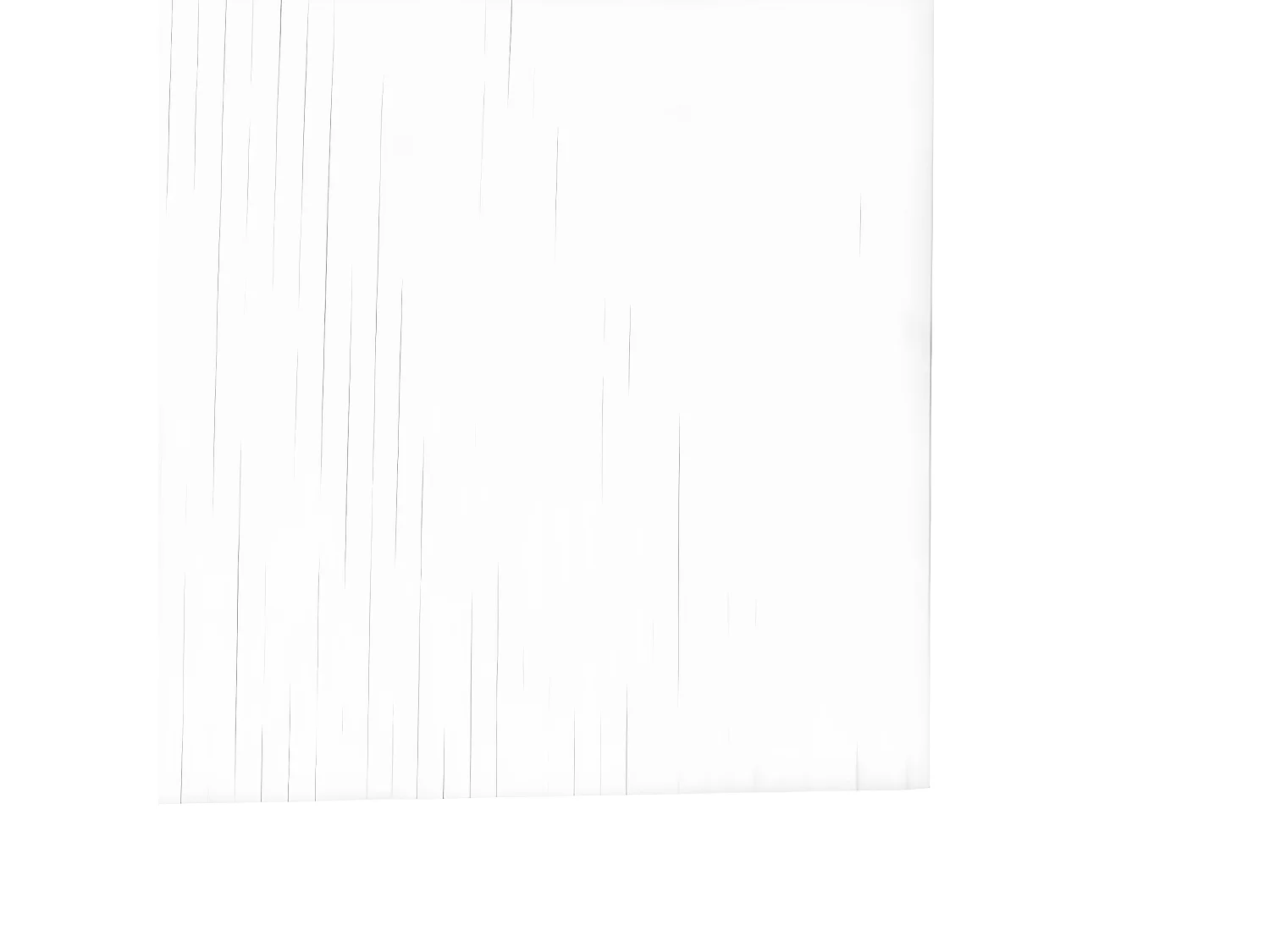 Cloison de séparation blanc 165x400 bambou