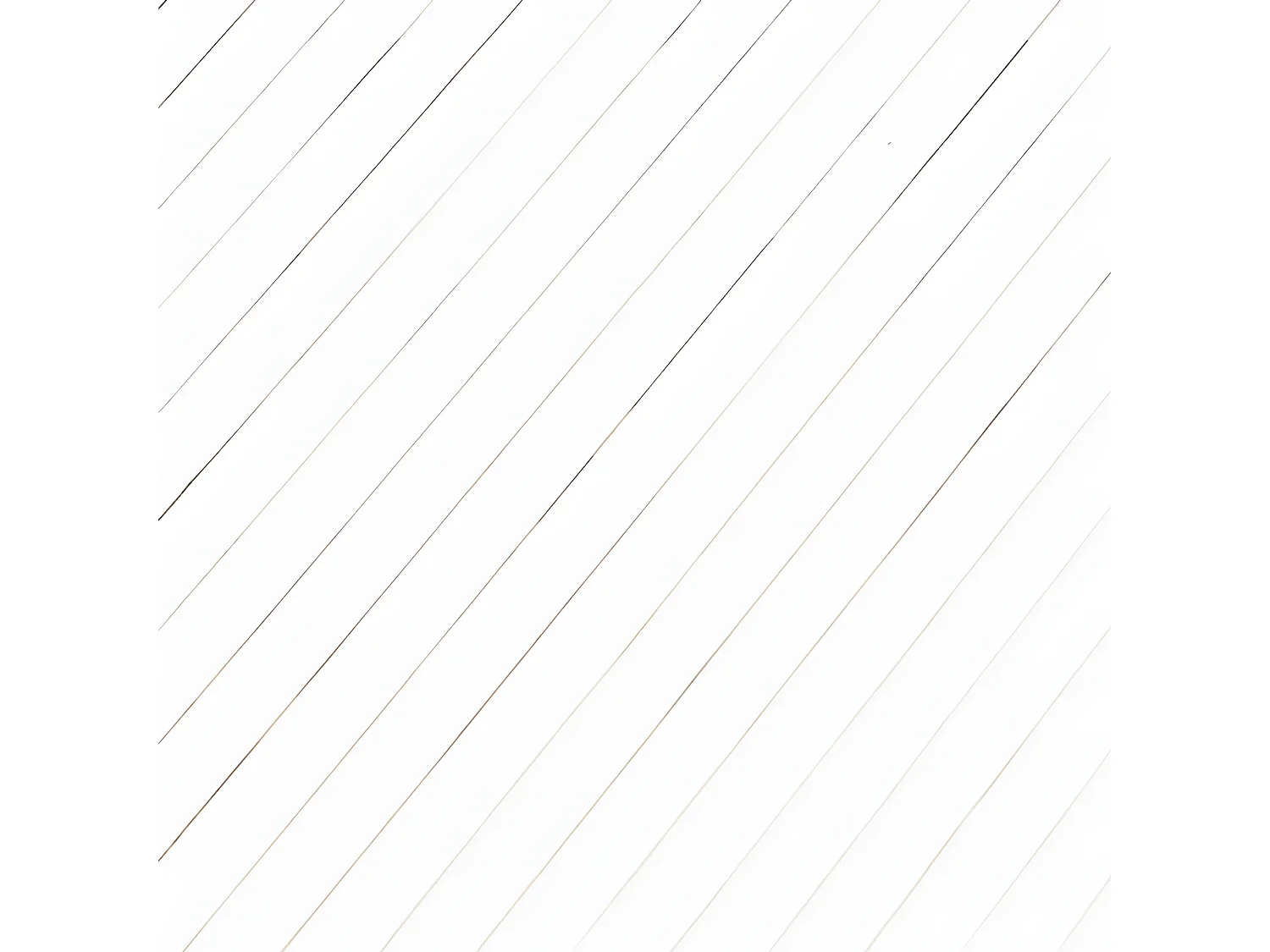 Cloison de séparation blanc 165x600 bambou