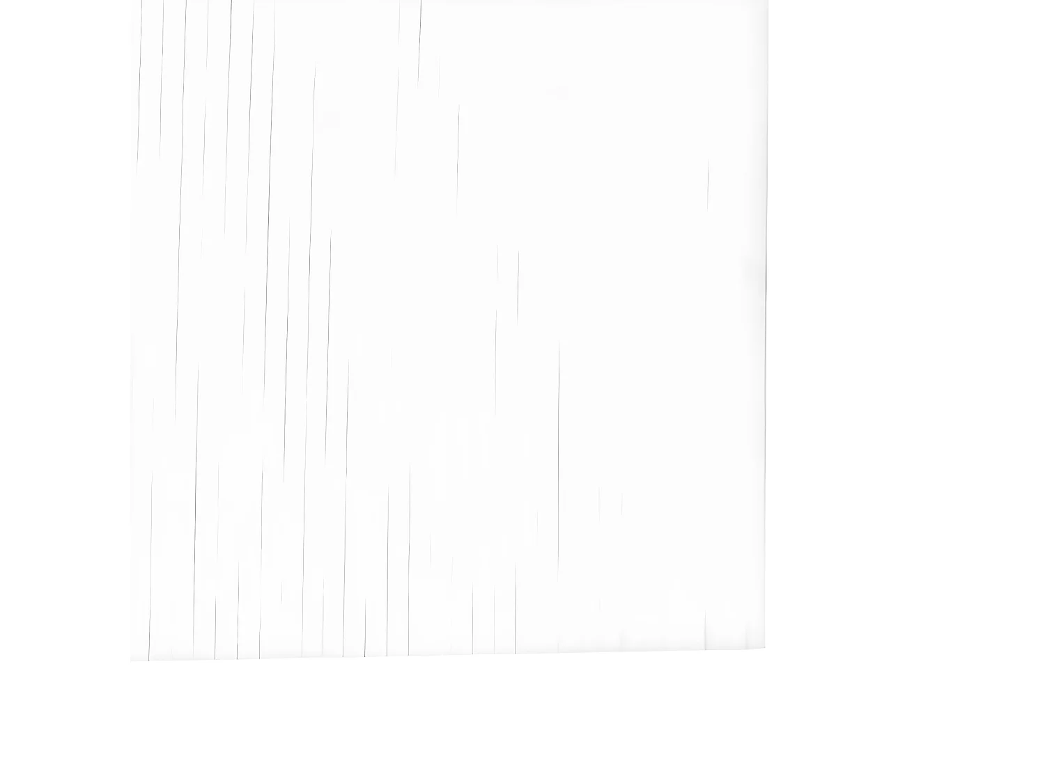 Cloison de séparation blanc 165x600 bambou