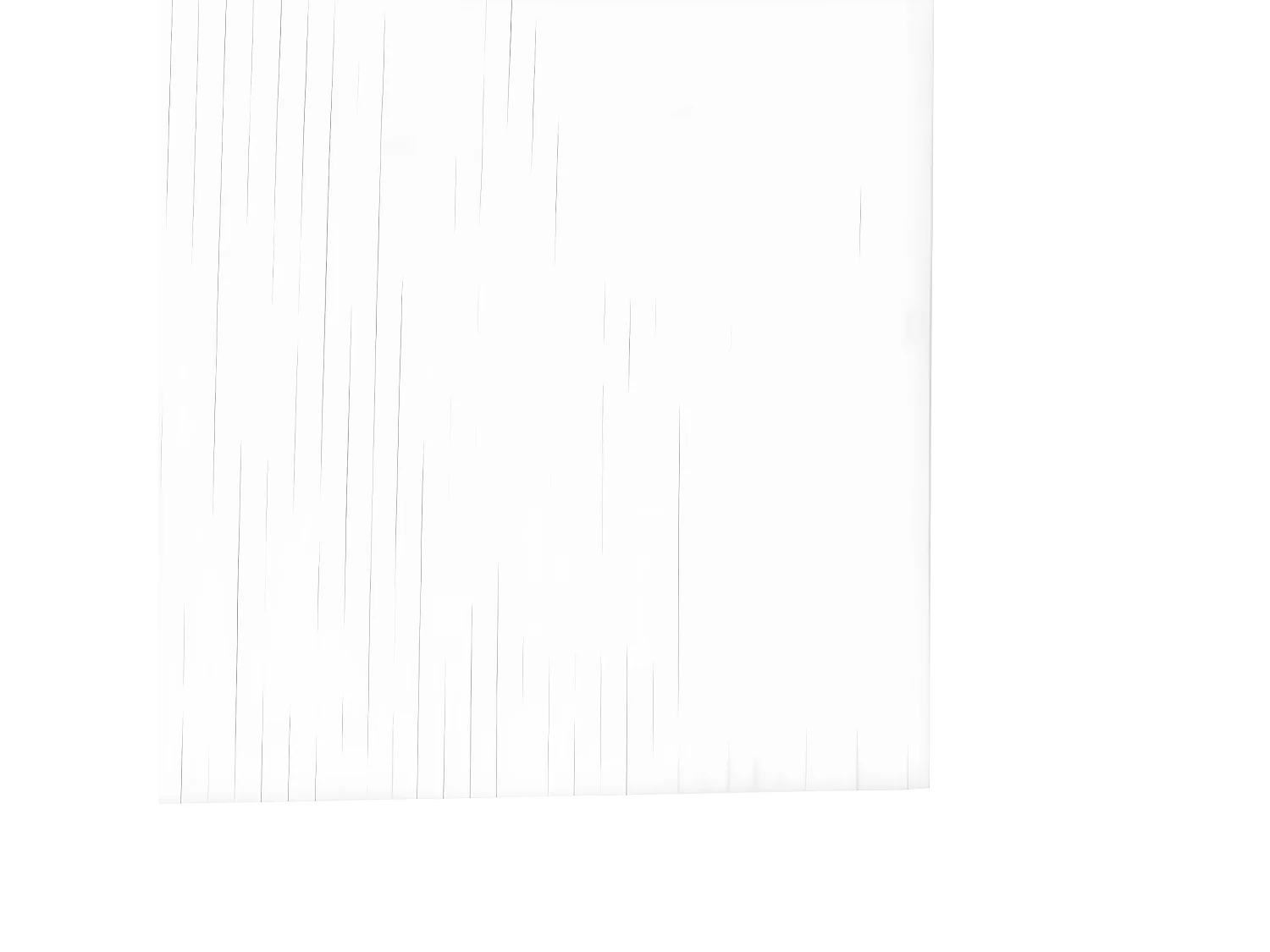 Cloison de séparation blanc 165x800 bambou