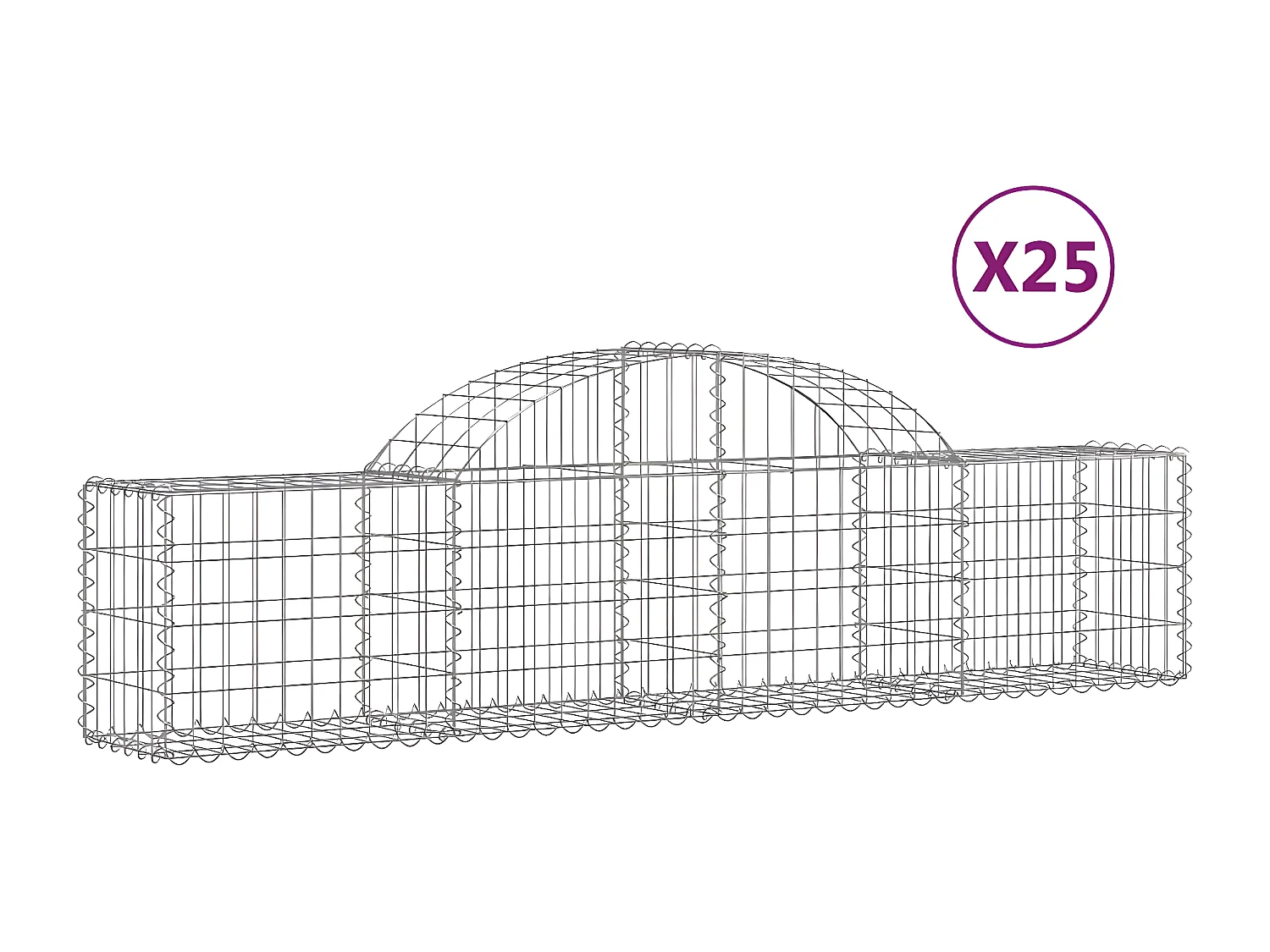 Paniers à gabions arqués 25 pièces 200x30x40/60 cm Fer galvanisé