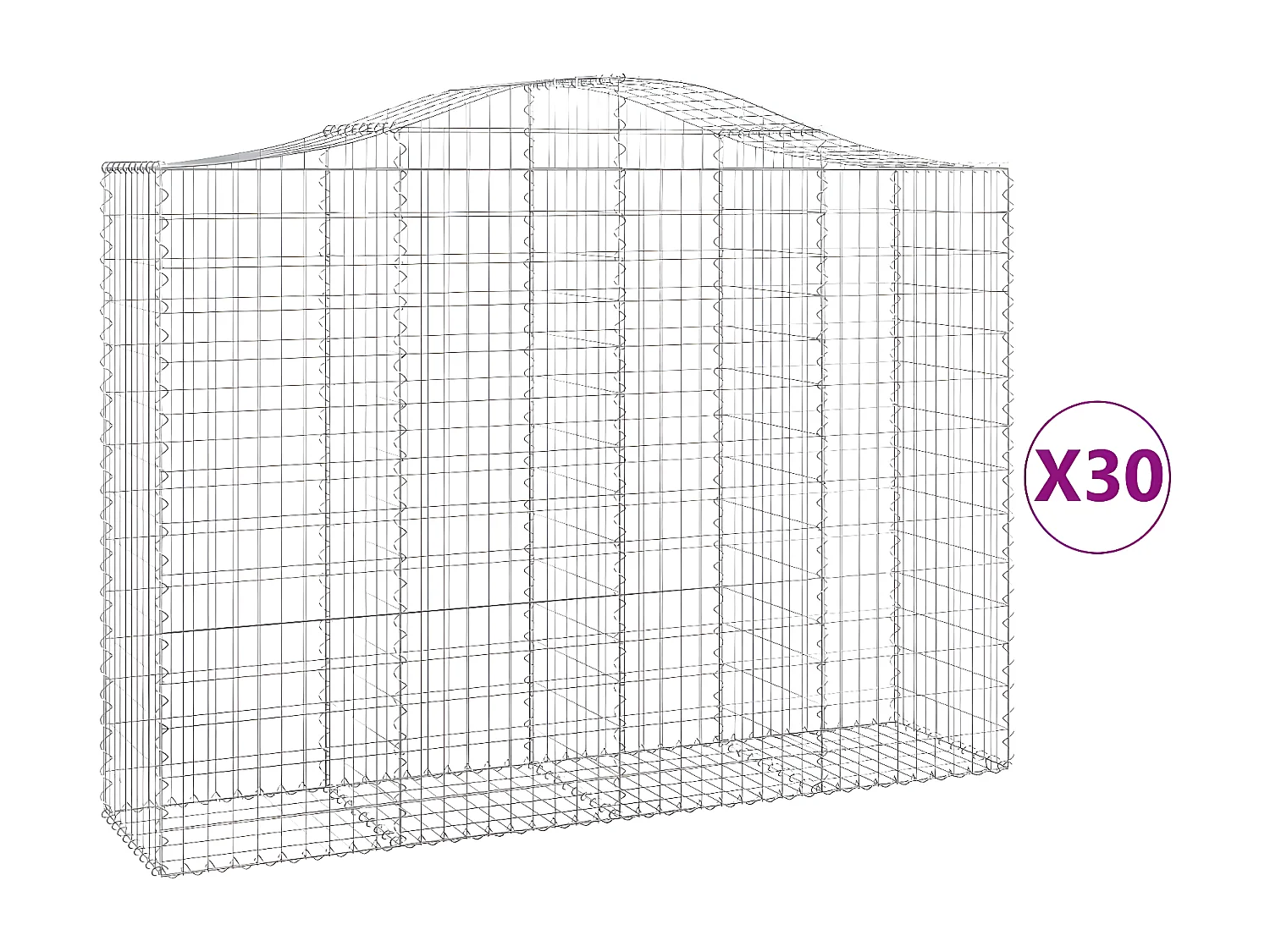 Cestas gaviones 30 unidades forma de arco hierro 200x50x140/160 cm