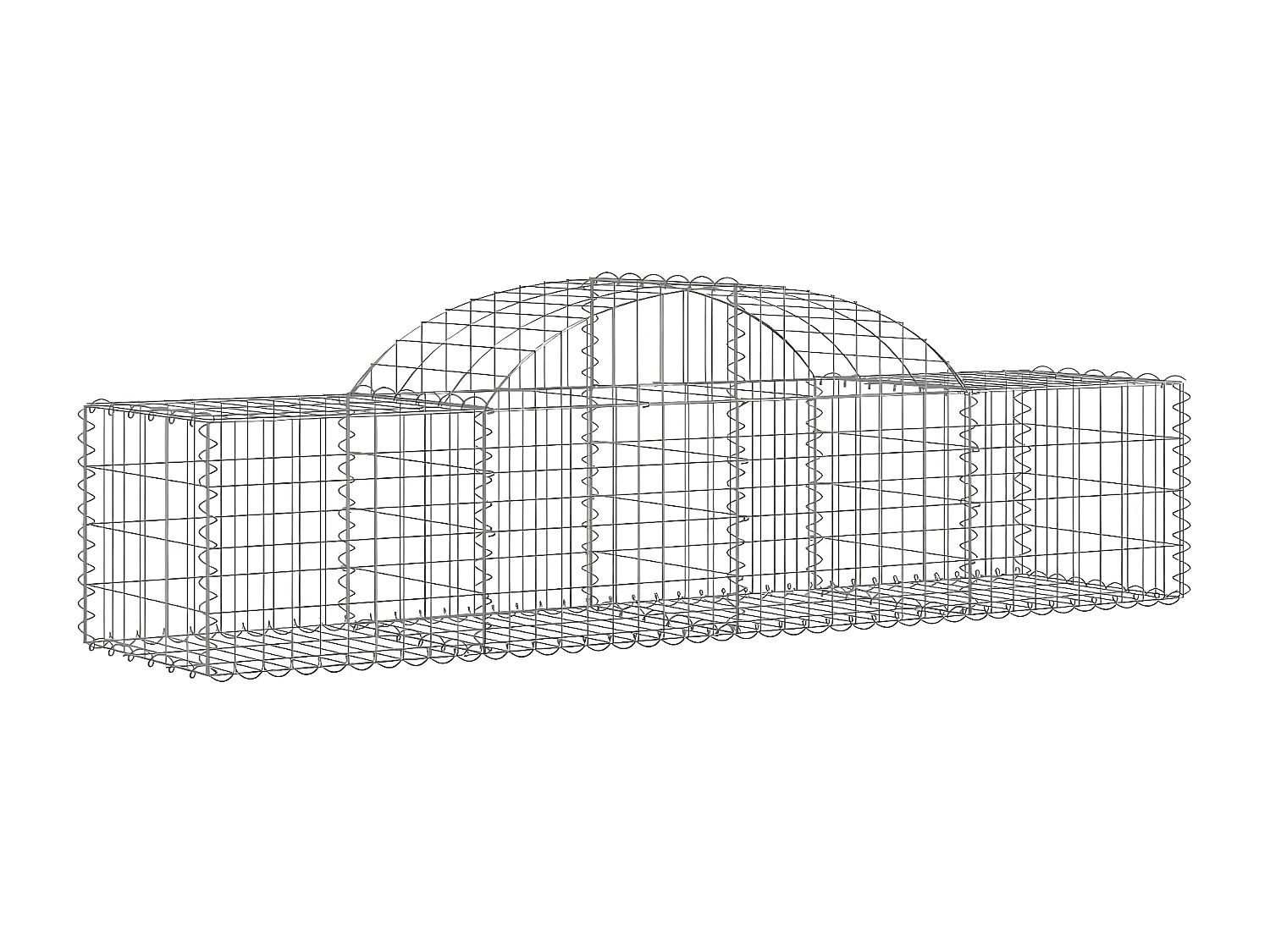 Panier de gabions arqué 200x50x40/60 cm Fer galvanisé