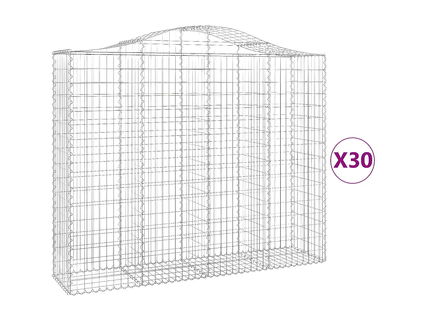 Paniers à gabions arqués 30 pièces 200x50x160/180 cm Fer galvanisé