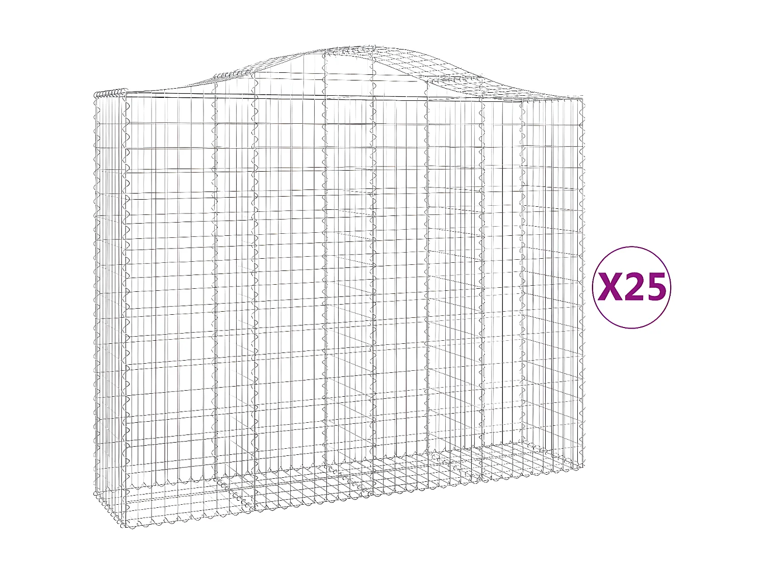 Paniers à gabions arqués 25 pièces 200x50x160/180 cm Fer galvanisé