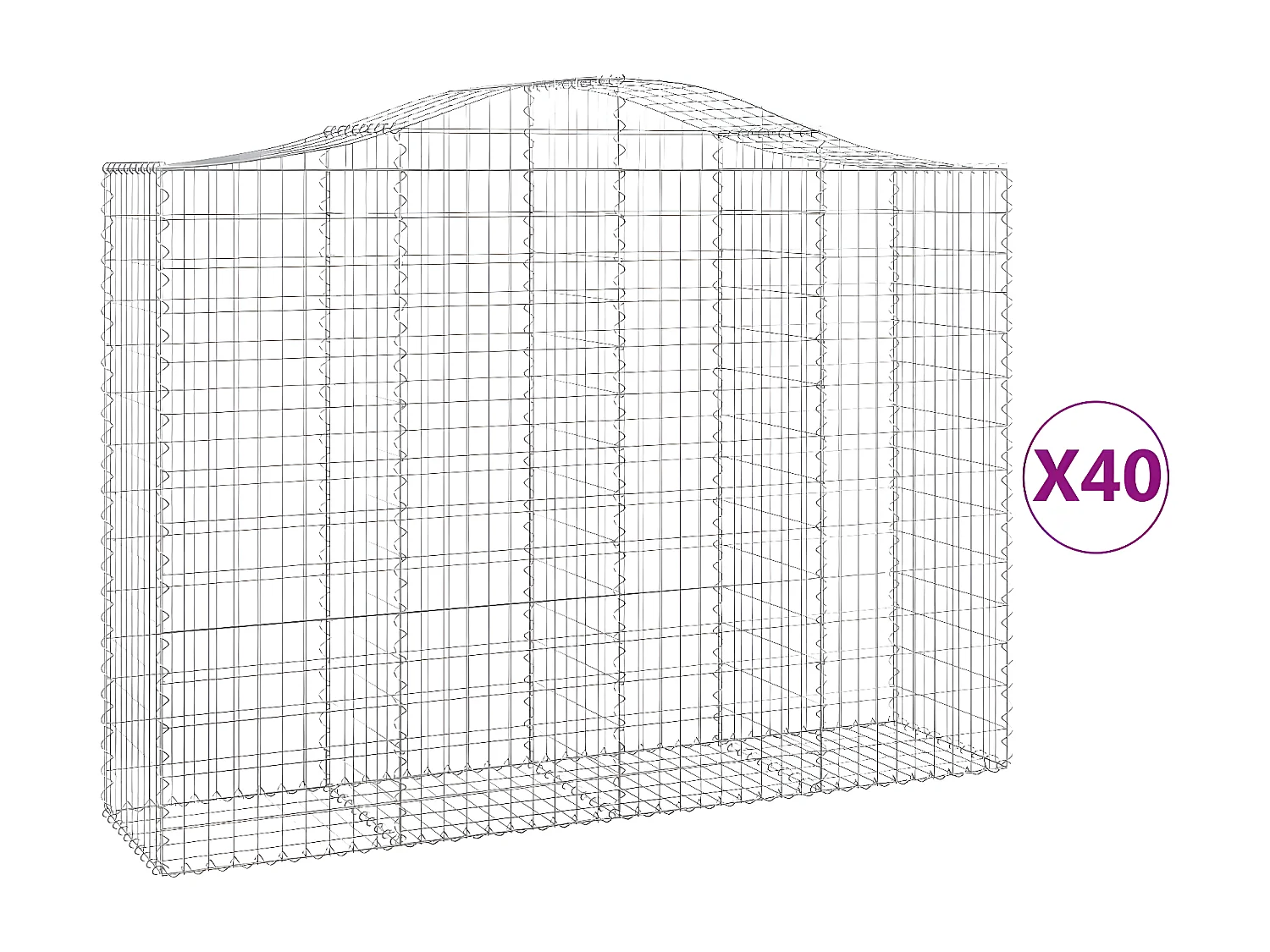Cestas gaviones 40 unidades forma de arco hierro 200x50x140/160 cm