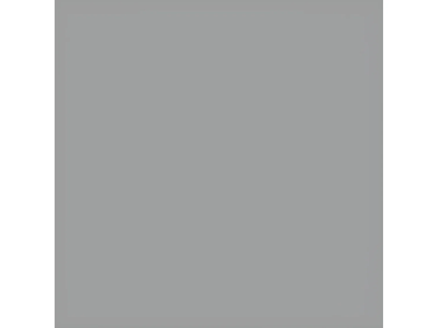 Abri de jardin avec toit prolongé gris clair 277x110,5x181