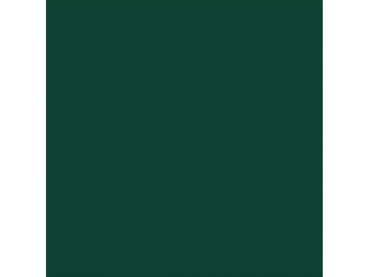 Abri de jardin avec toit prolongé vert 277x110,5x181 acier