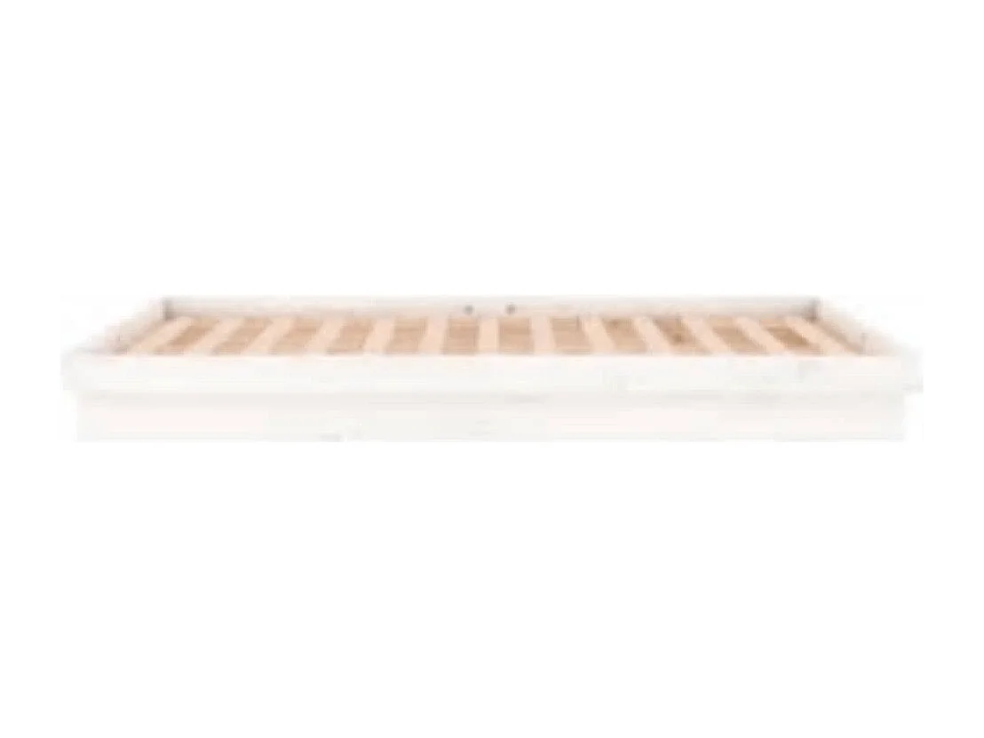 Bedframe LED massief hout wit 160x200 cm