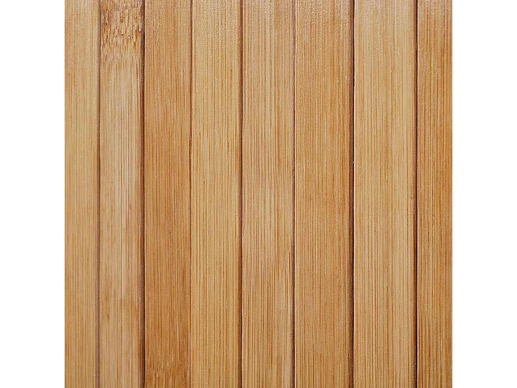 Cloison de séparation Bambou naturel 250x165 cm