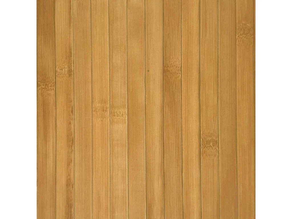 Cloison de séparation bambou naturel largeur 250 cm hauteur 165 cm