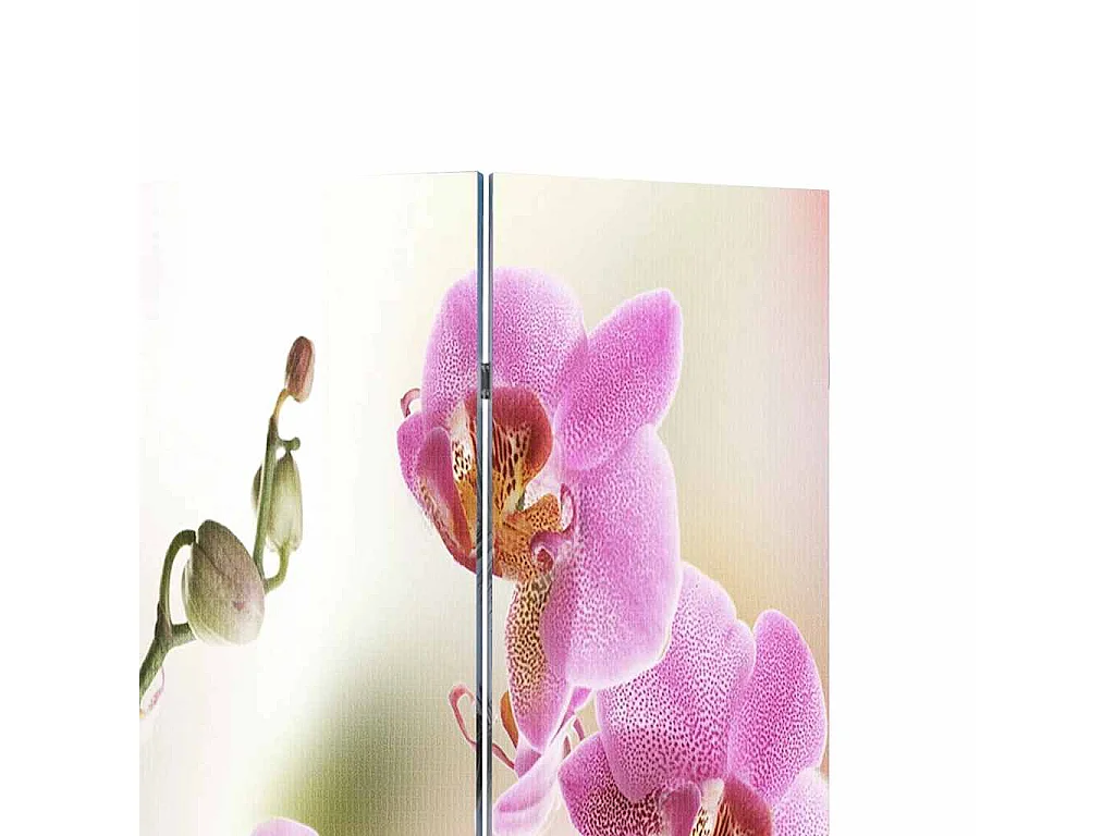 Paravent pliable 120 x 170 cm Fleur