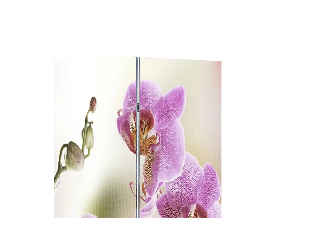 Kamerscherm inklapbaar bloem 217x170 cm