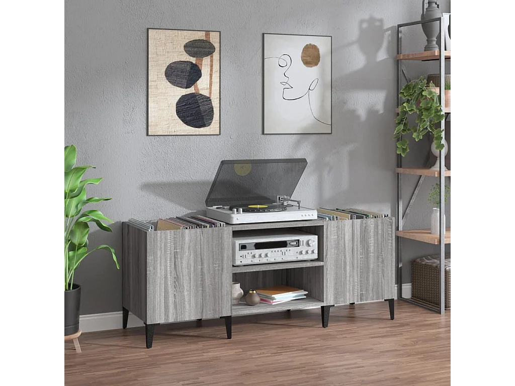 Platenkast 121x38x48 cm bewerkt hout grijs sonoma eikenkleurig