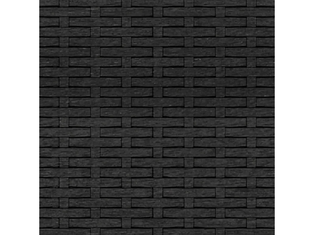 Canapés centraux de jardin et coussins 2pcs Noir Résine tressée