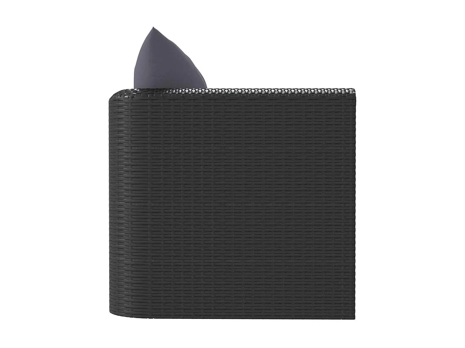 Fauteuil avec coussins Résine tressée Noir