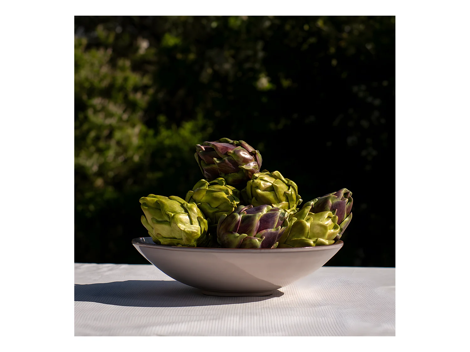 Tige d'Artichaut Grand Format - Vert