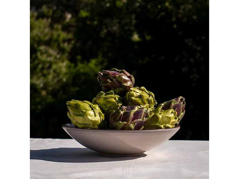 Tige d'Artichaut Grand Format - Vert