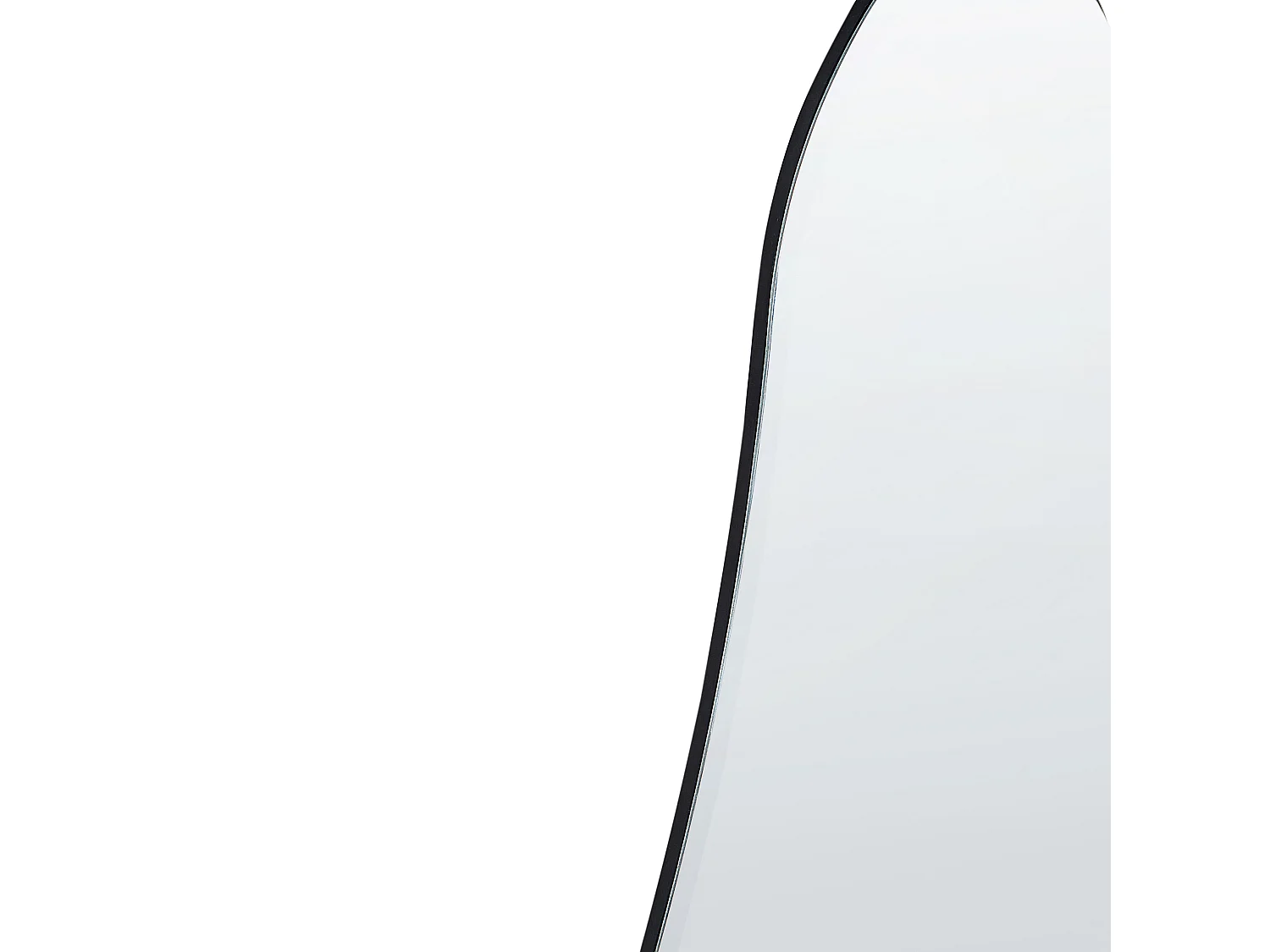 Wandspiegel ESTANG 50 cm 140 cm Zilver