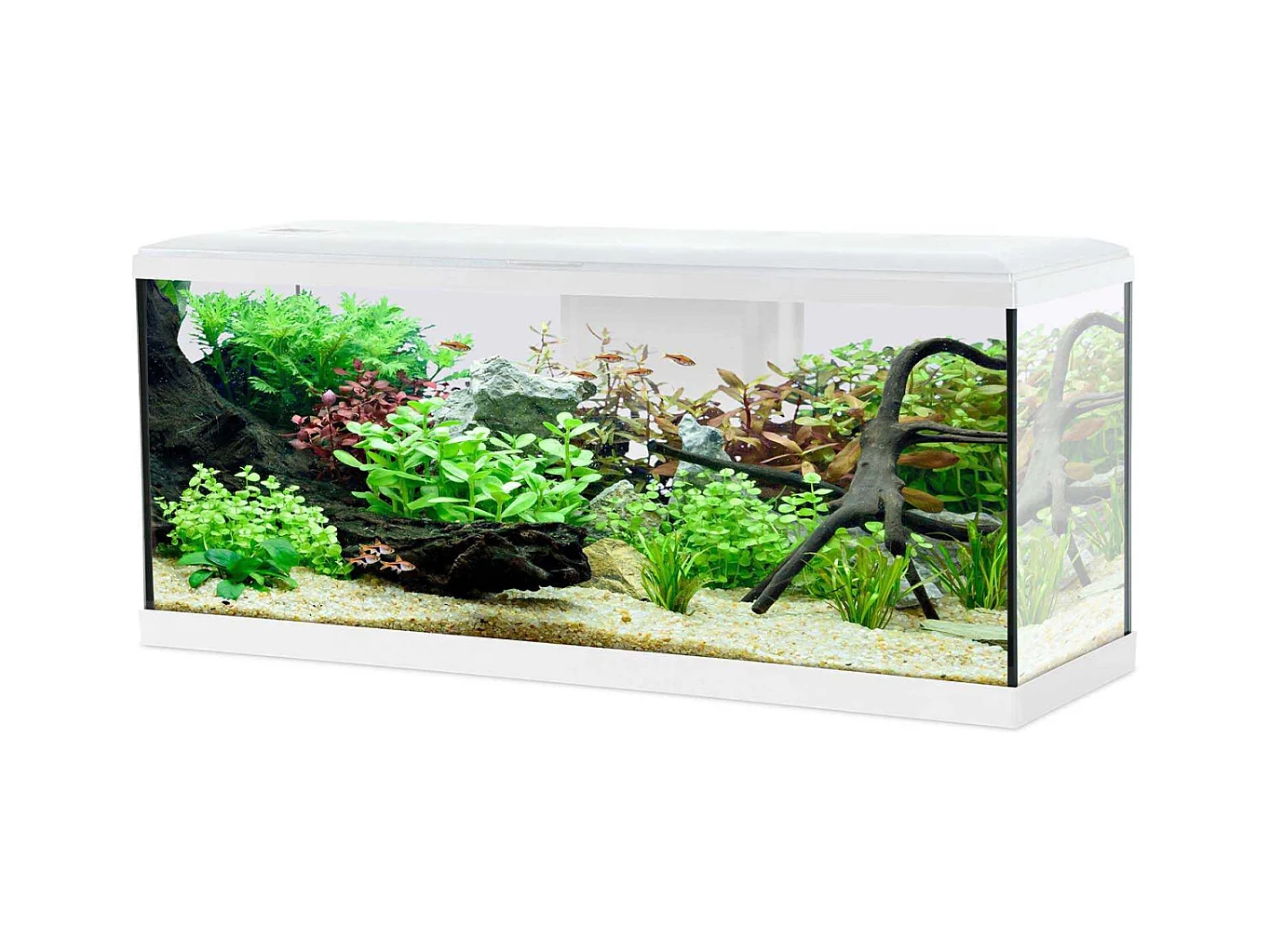 Kit aquarium Tana 120L