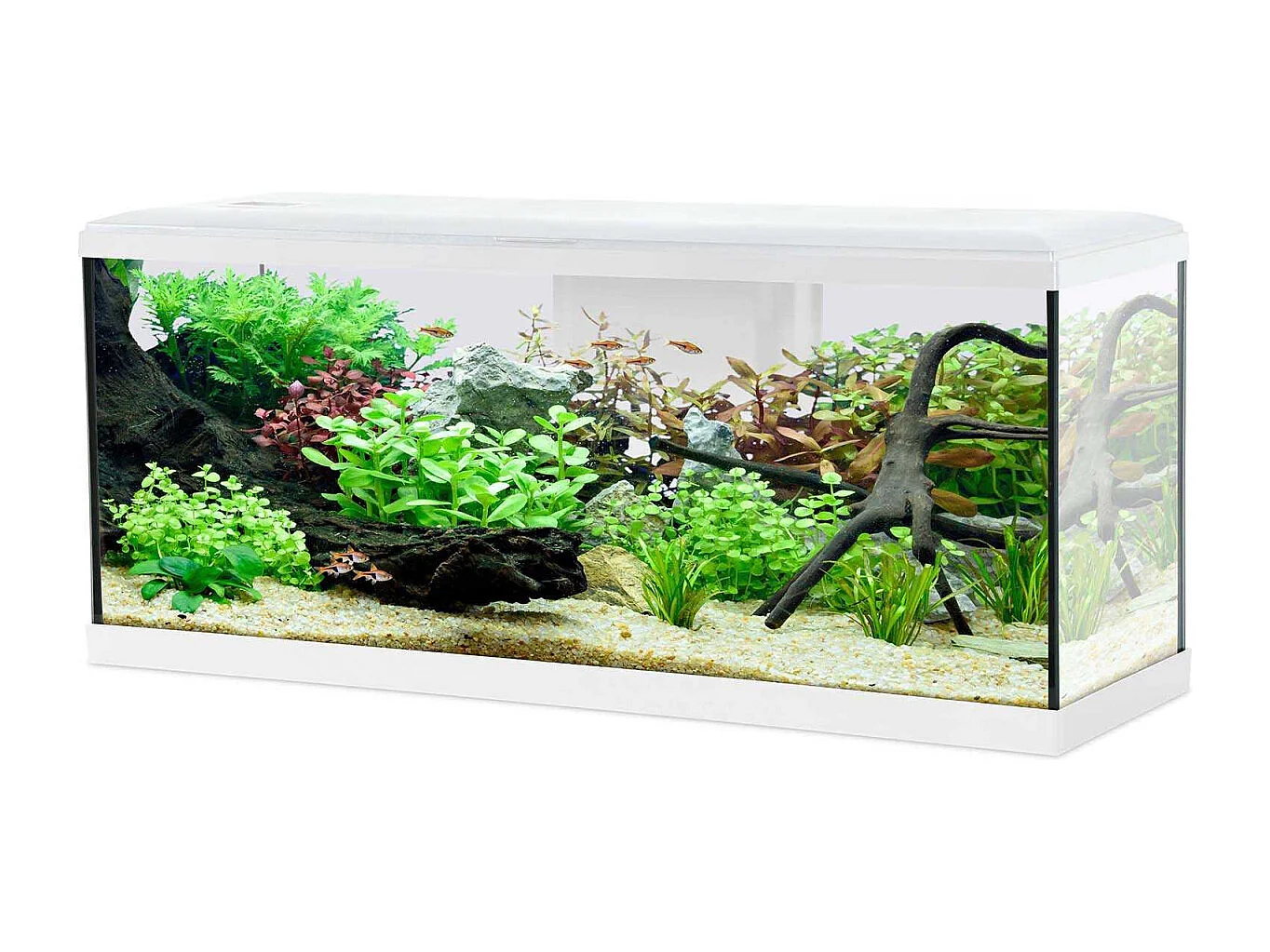 Kit aquarium Tana 120L