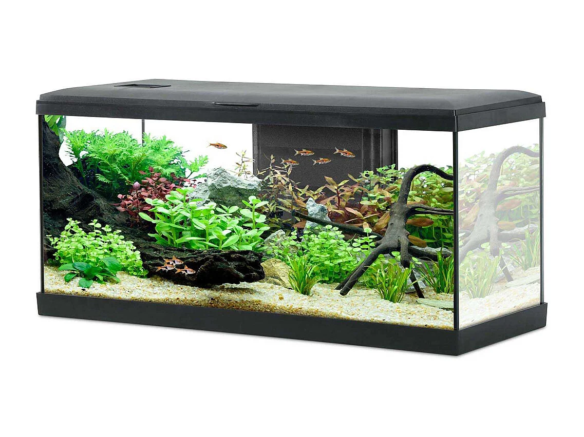 Kit aquarium Tana 84L