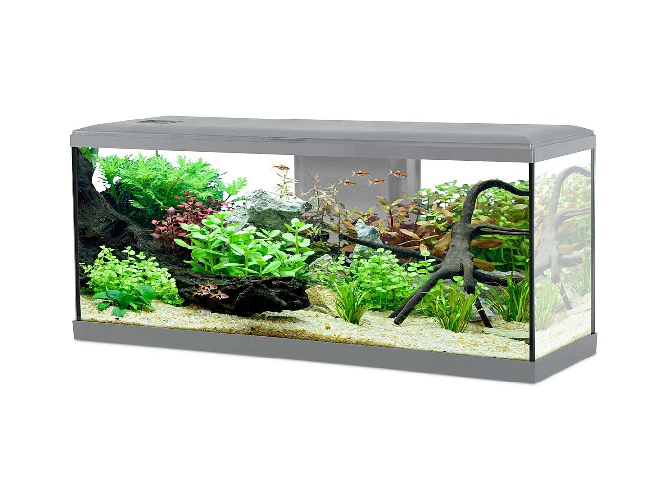 Kit aquarium Tana 120L
