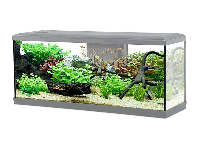 Kit aquarium Tana 120L