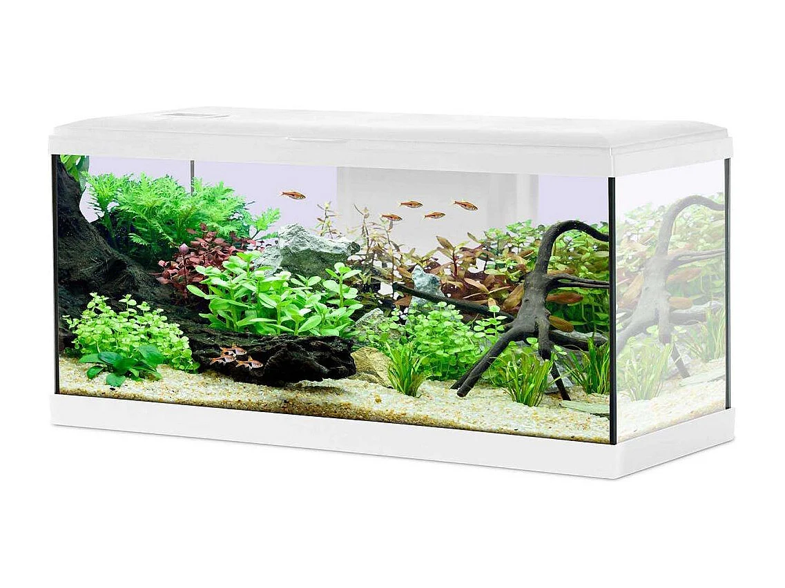Kit aquarium Tana 84L