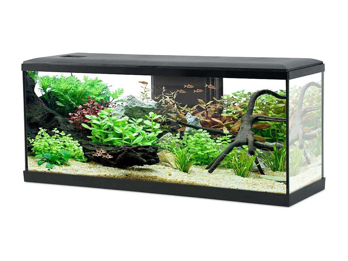 Kit aquarium Tana 120L