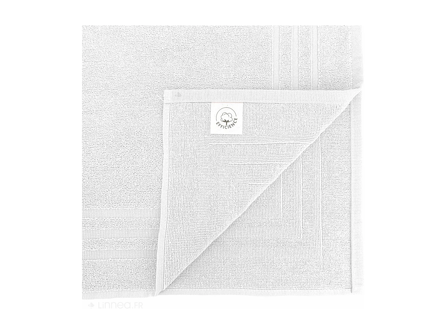 Tapis de bain 50x70 cm EFFICIENCE PURE blanc White
