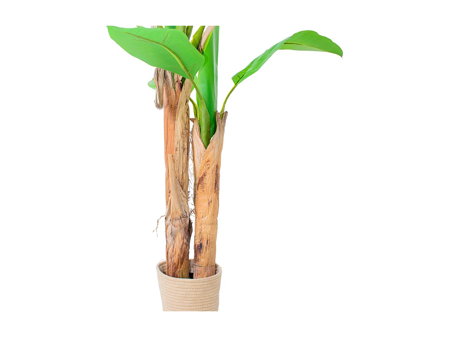 Banana Tree - Plante artificielle en pot H150 cm