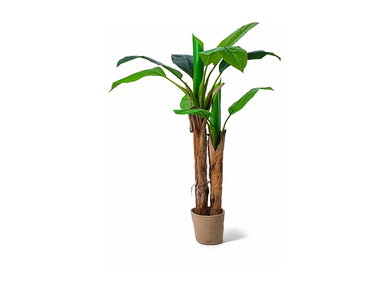 Banana Tree - Pianta Artificiale in vaso H150 cm
